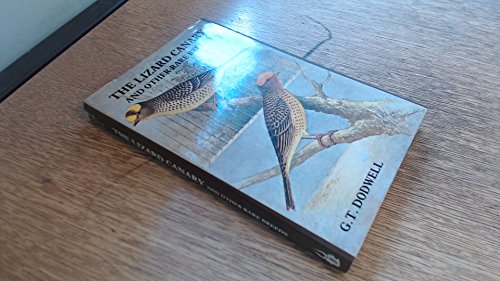 The Lizard Canary And Other Rare Breeds