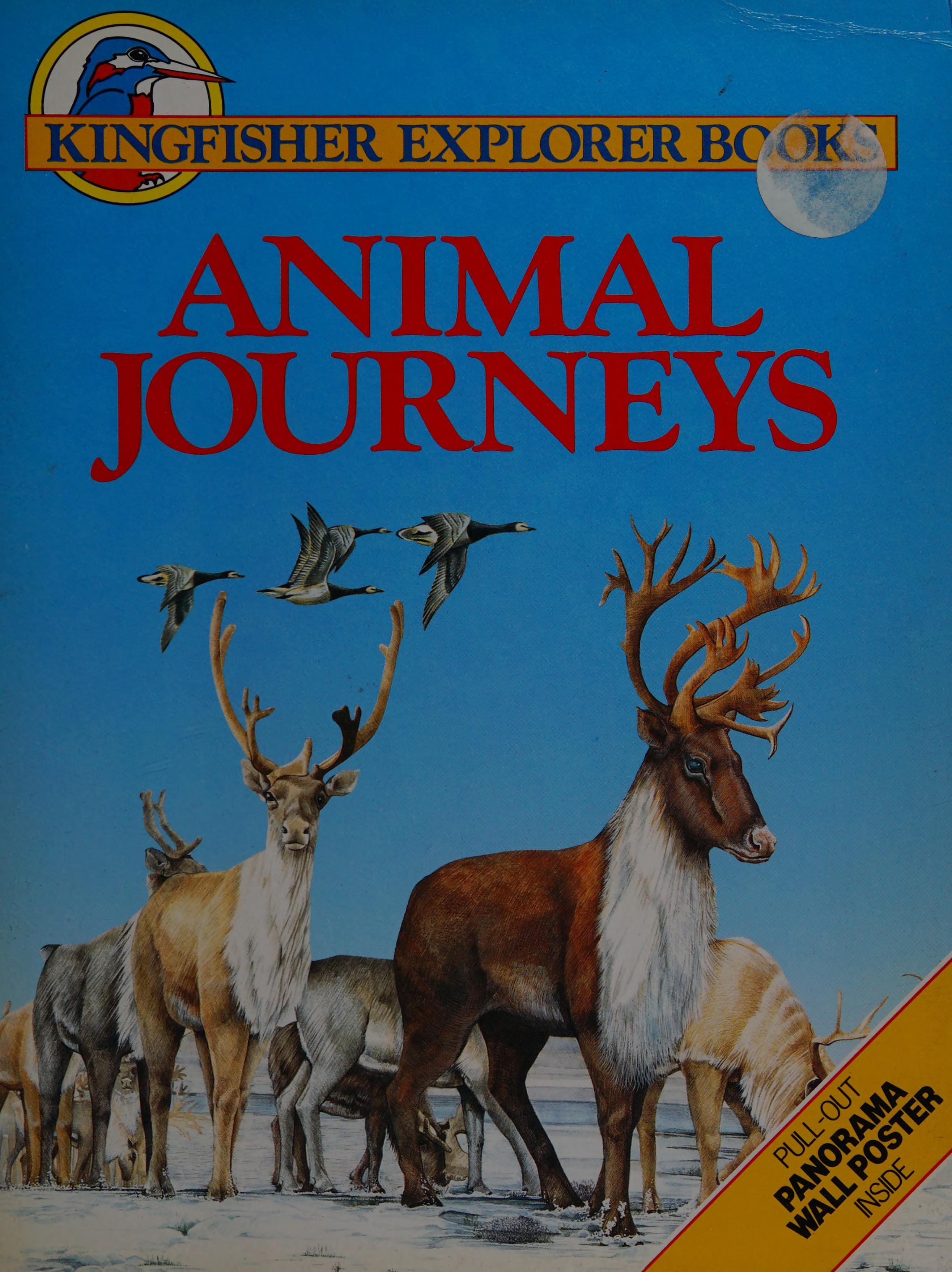 Animal Journeys