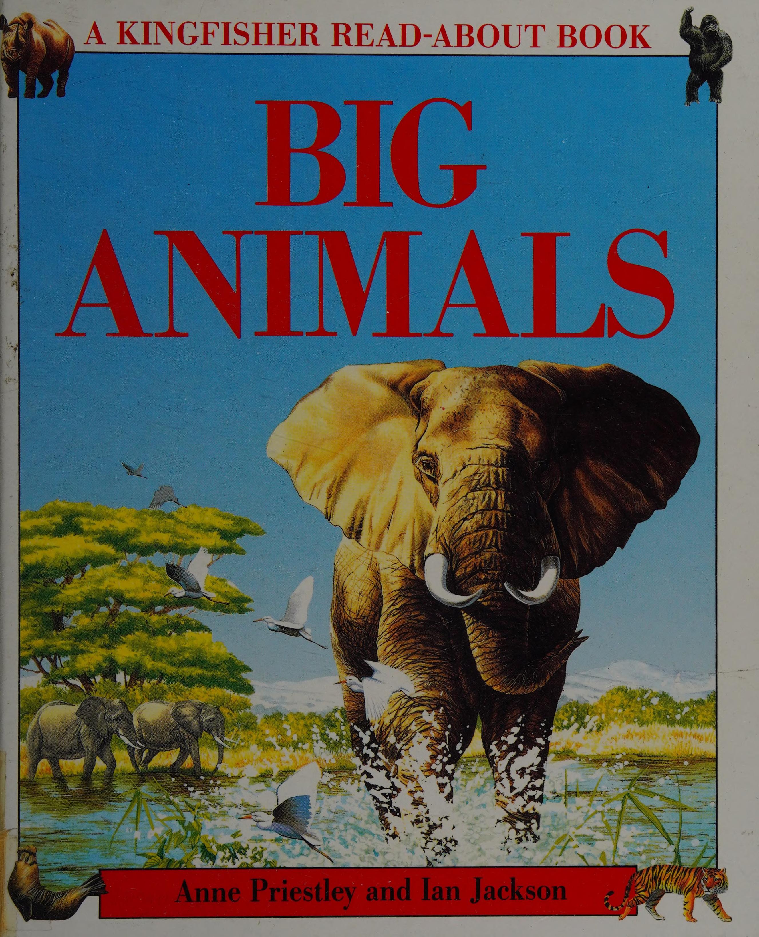 Big Animals