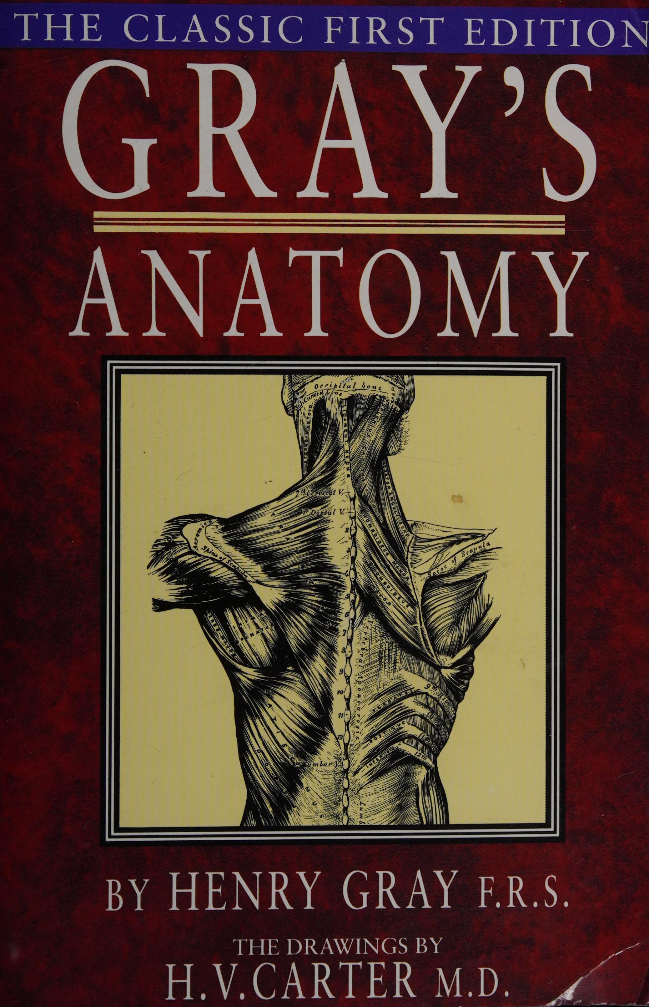 GRAY'S ANATOMY THE CLASSIC FIRST EDITION