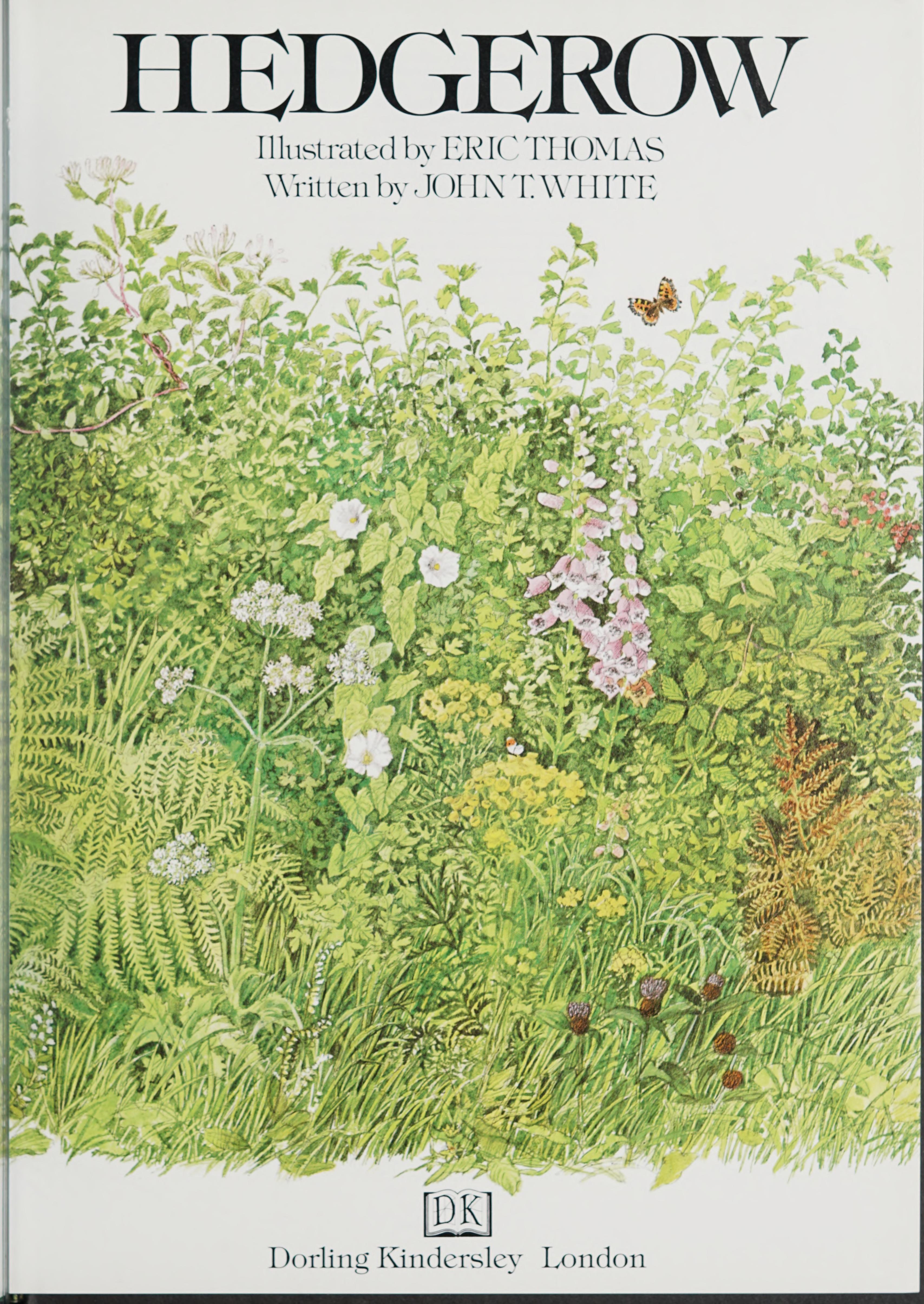 Hedgerow