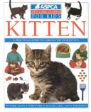 Kitten