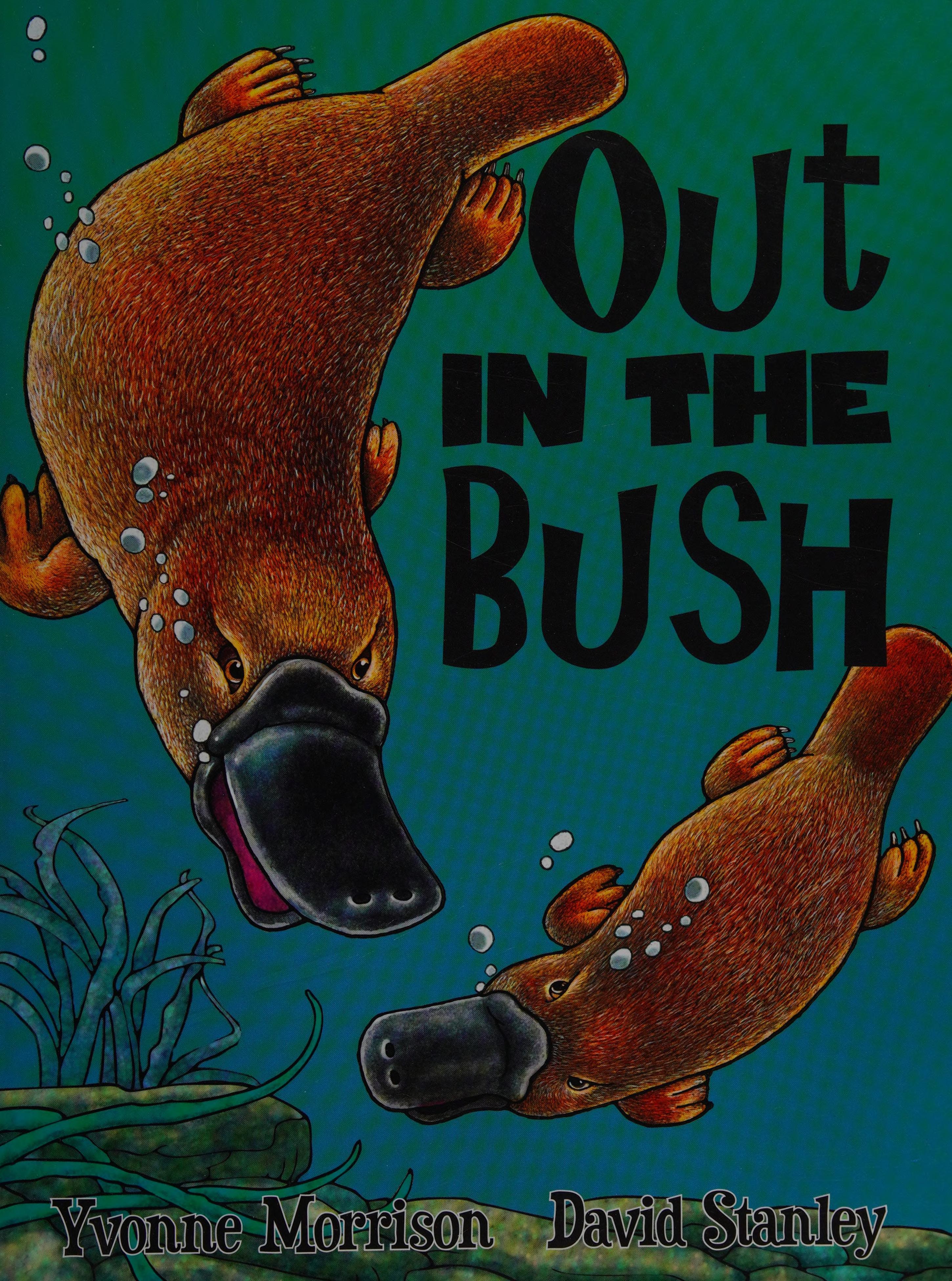 Out In The Bush