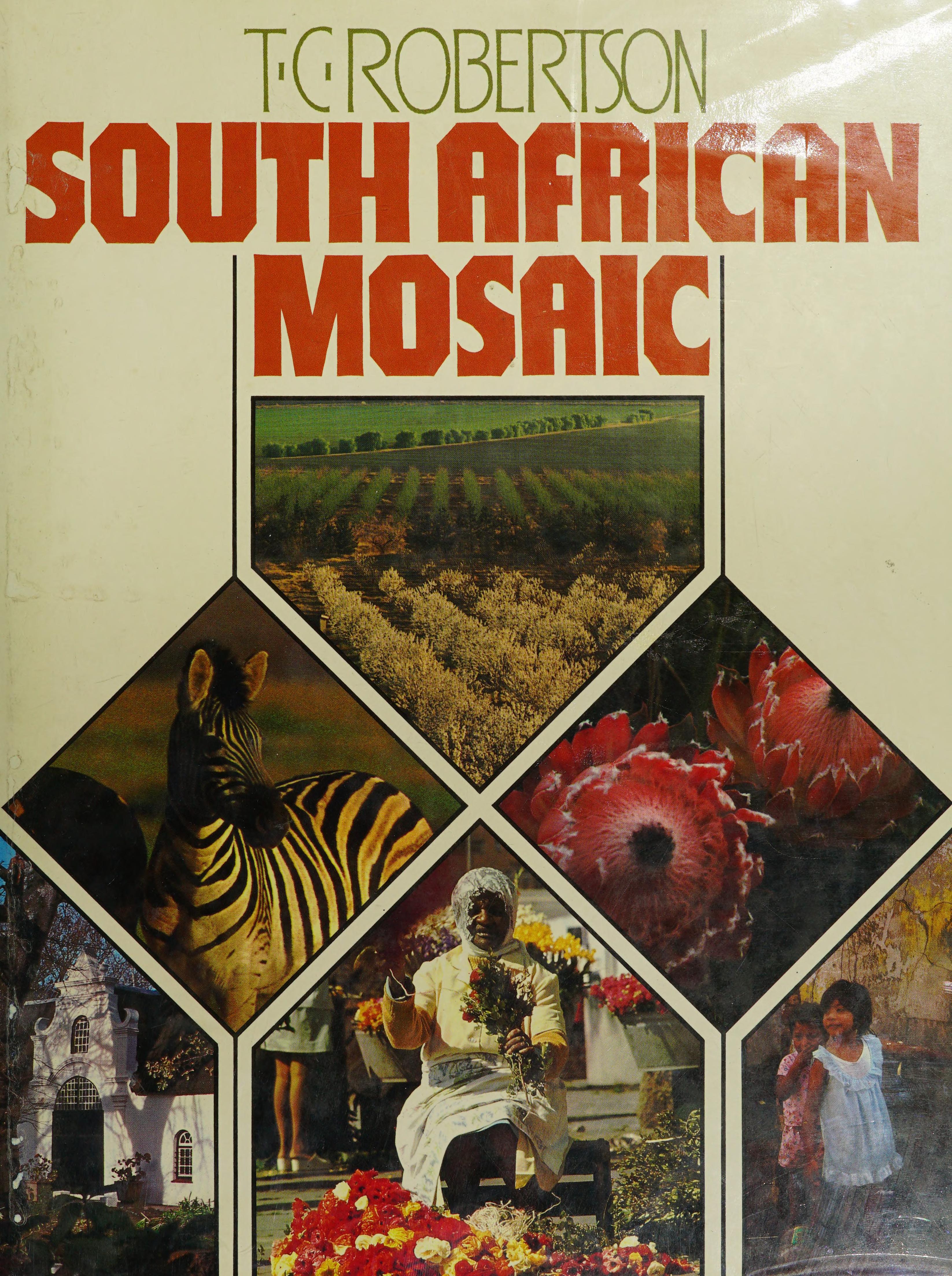 South African Mosaic