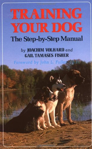 Training Your Dog