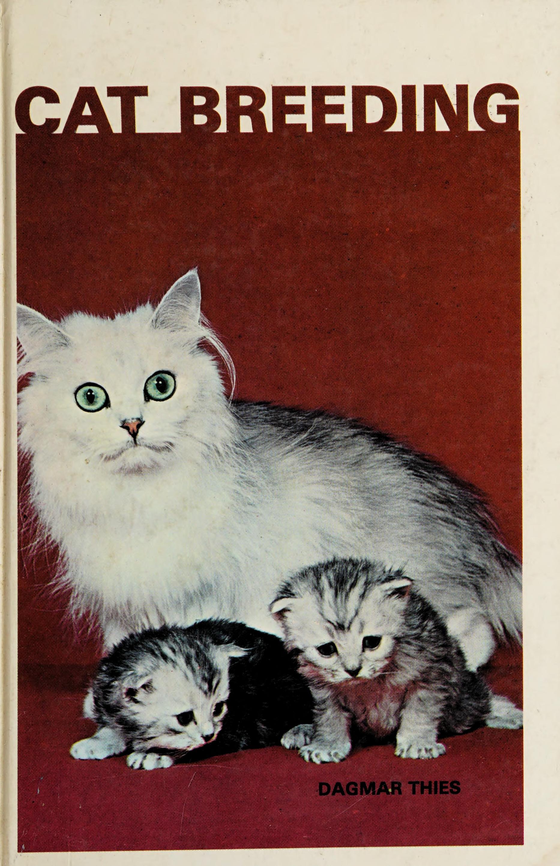 Cat Breeding