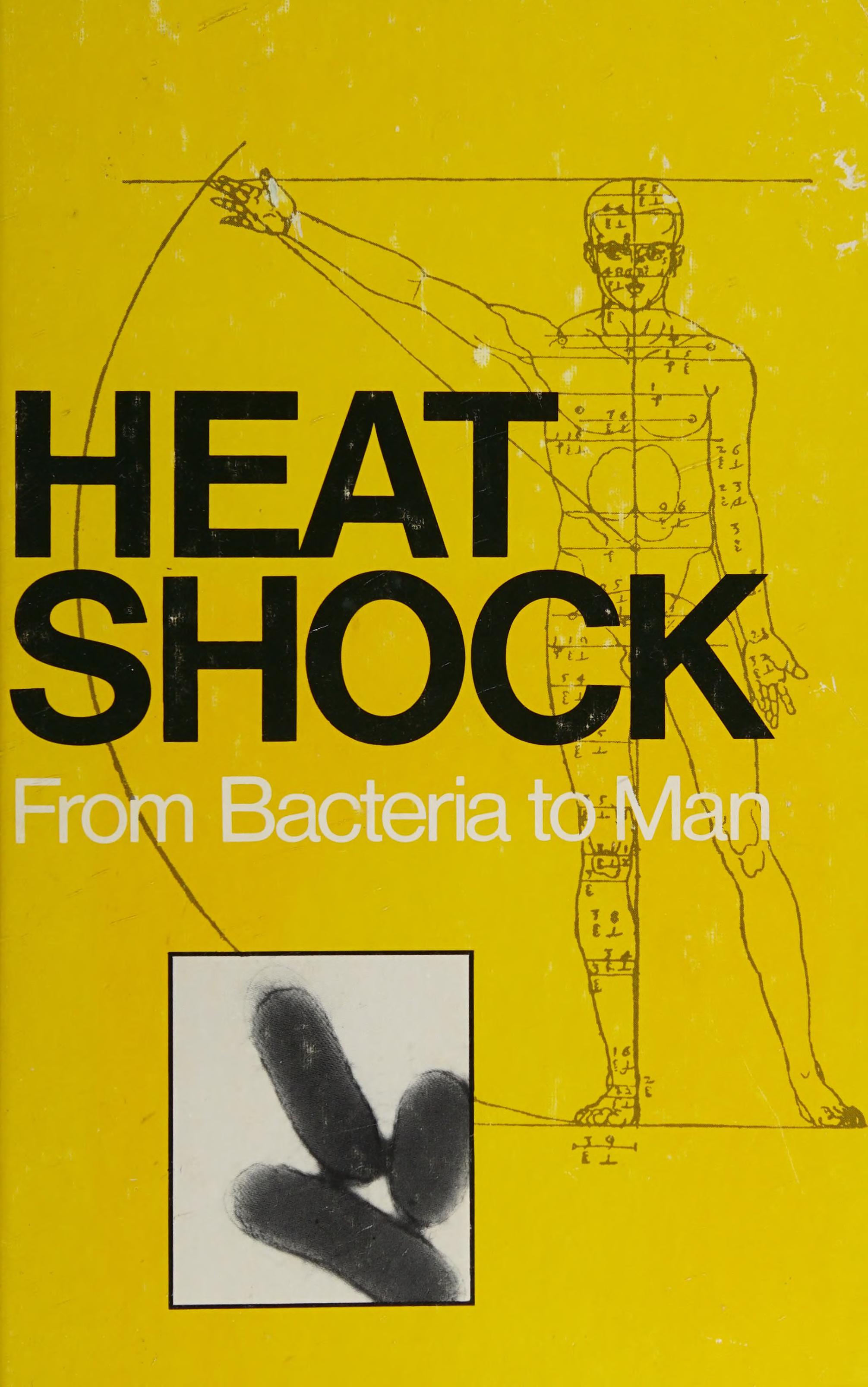 Heat Shock, from Bacteria to Man