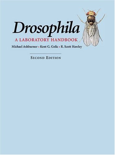 Drosophila