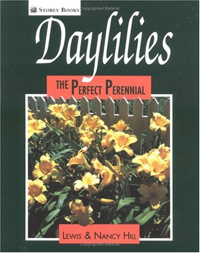 Daylilies: The Perfect Perennial