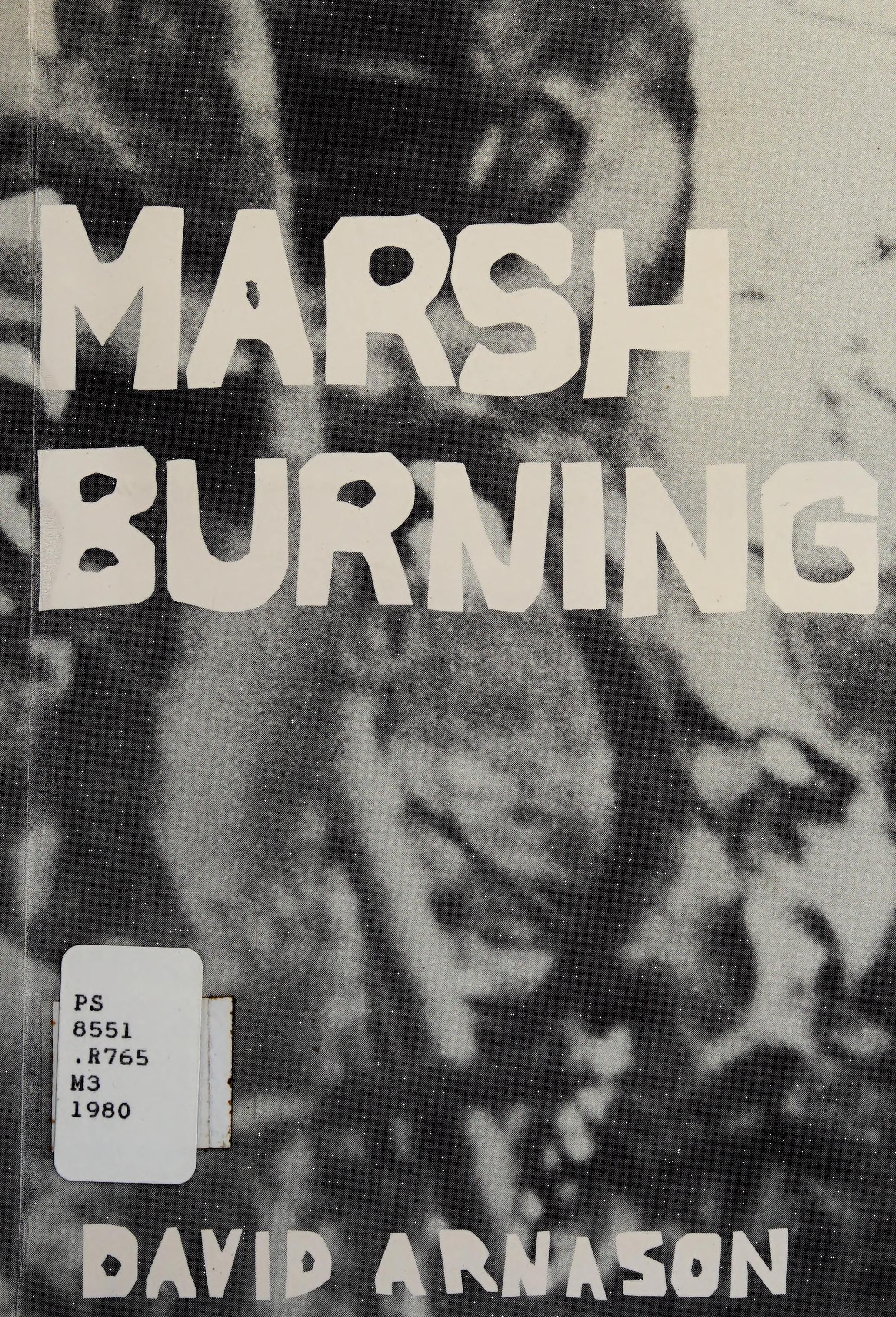 Marsh Burning