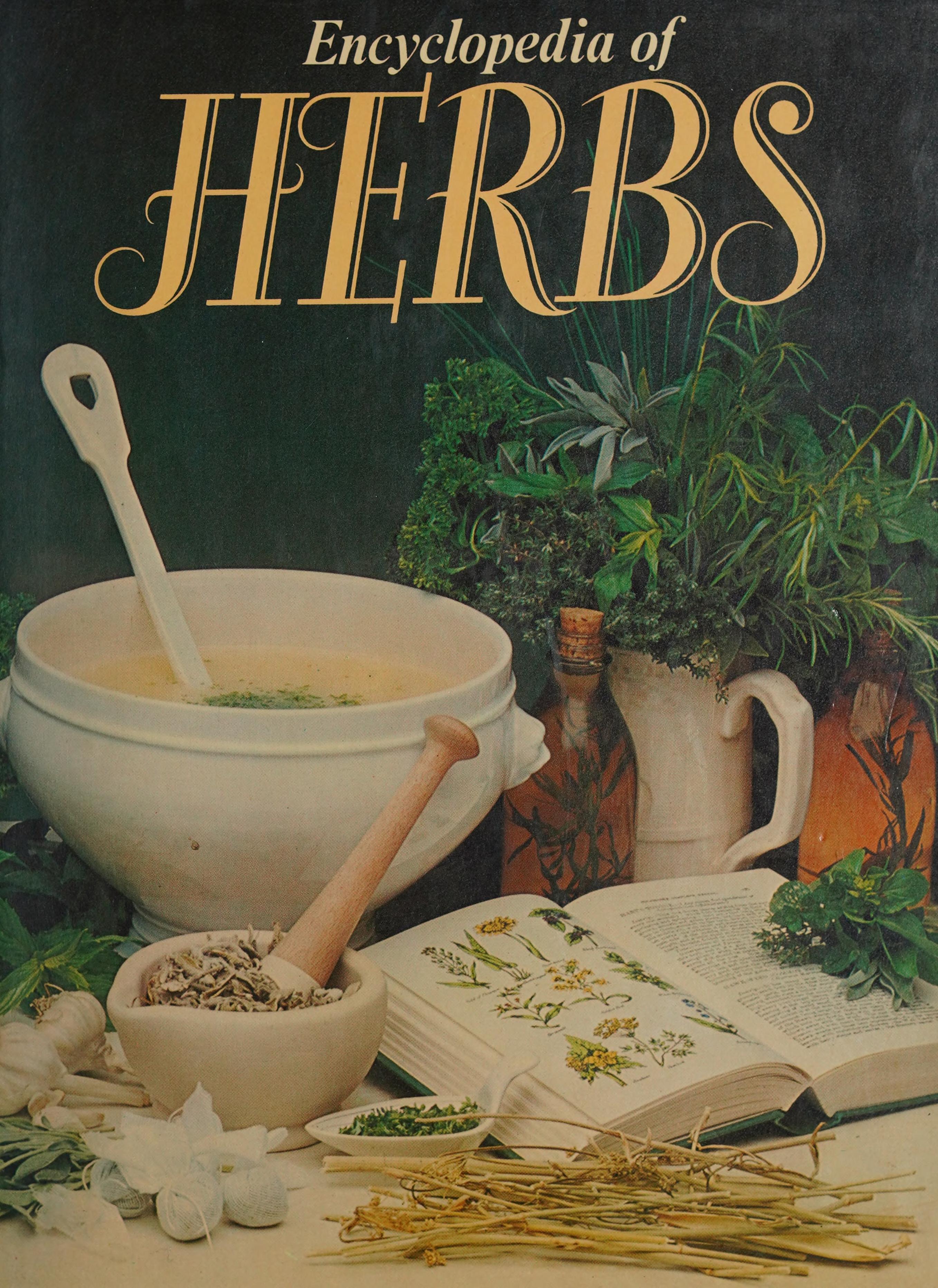 Encyclopedia Of Herbs
