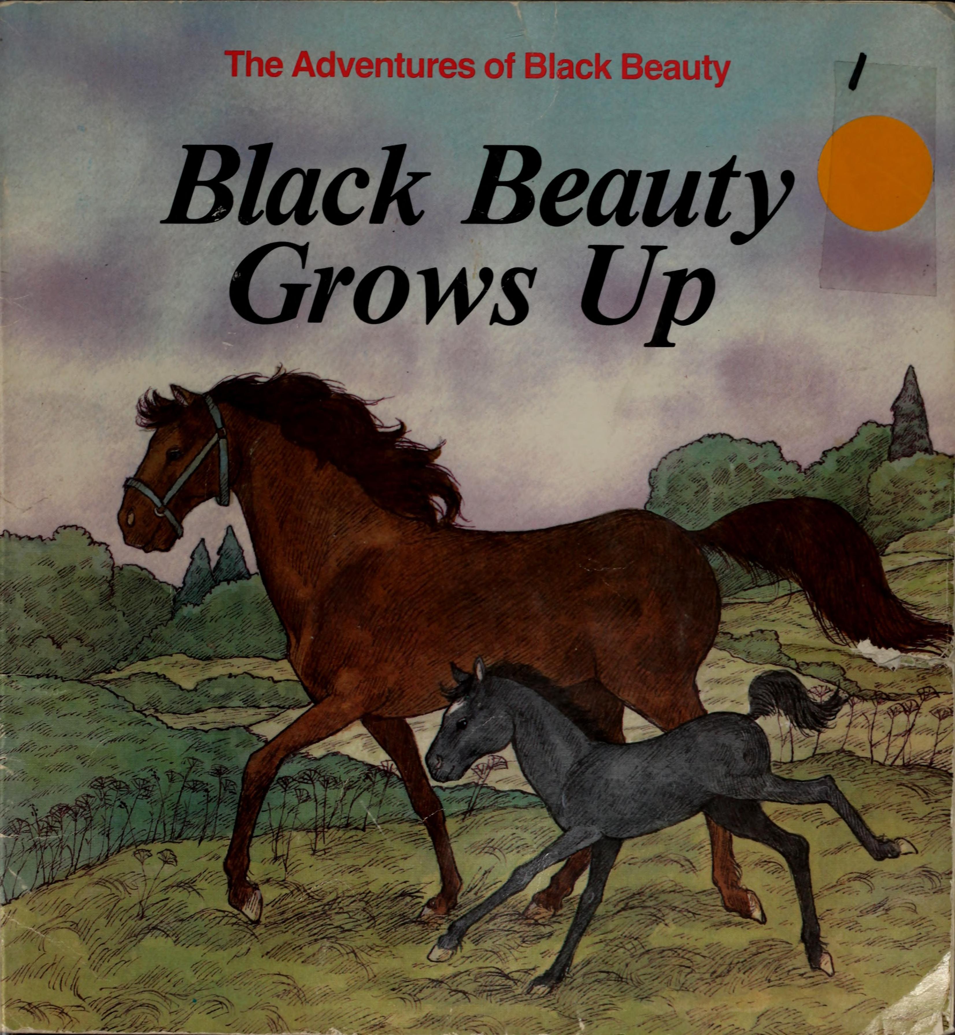 Black Beauty Grows Up