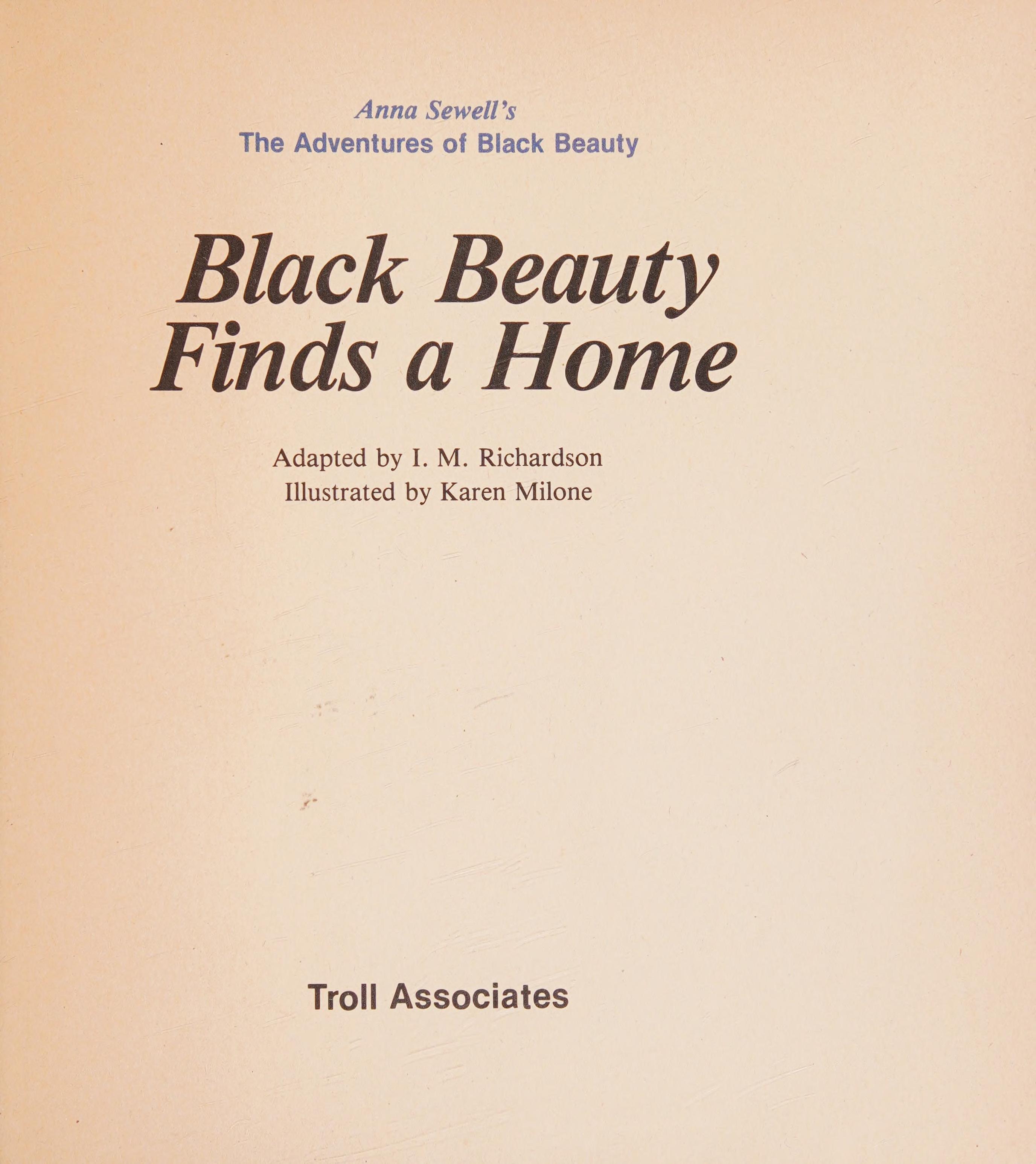 Black Beauty Finds a Home