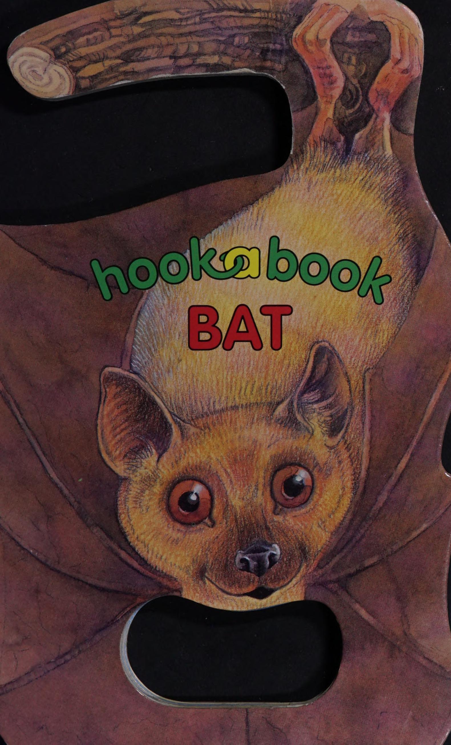 Bat