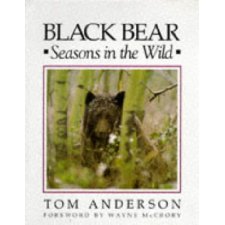 Black Bear