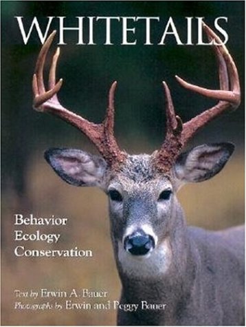 Whitetails