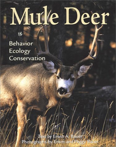 Mule Deer