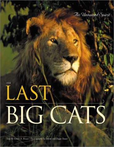 The Last Big Cats