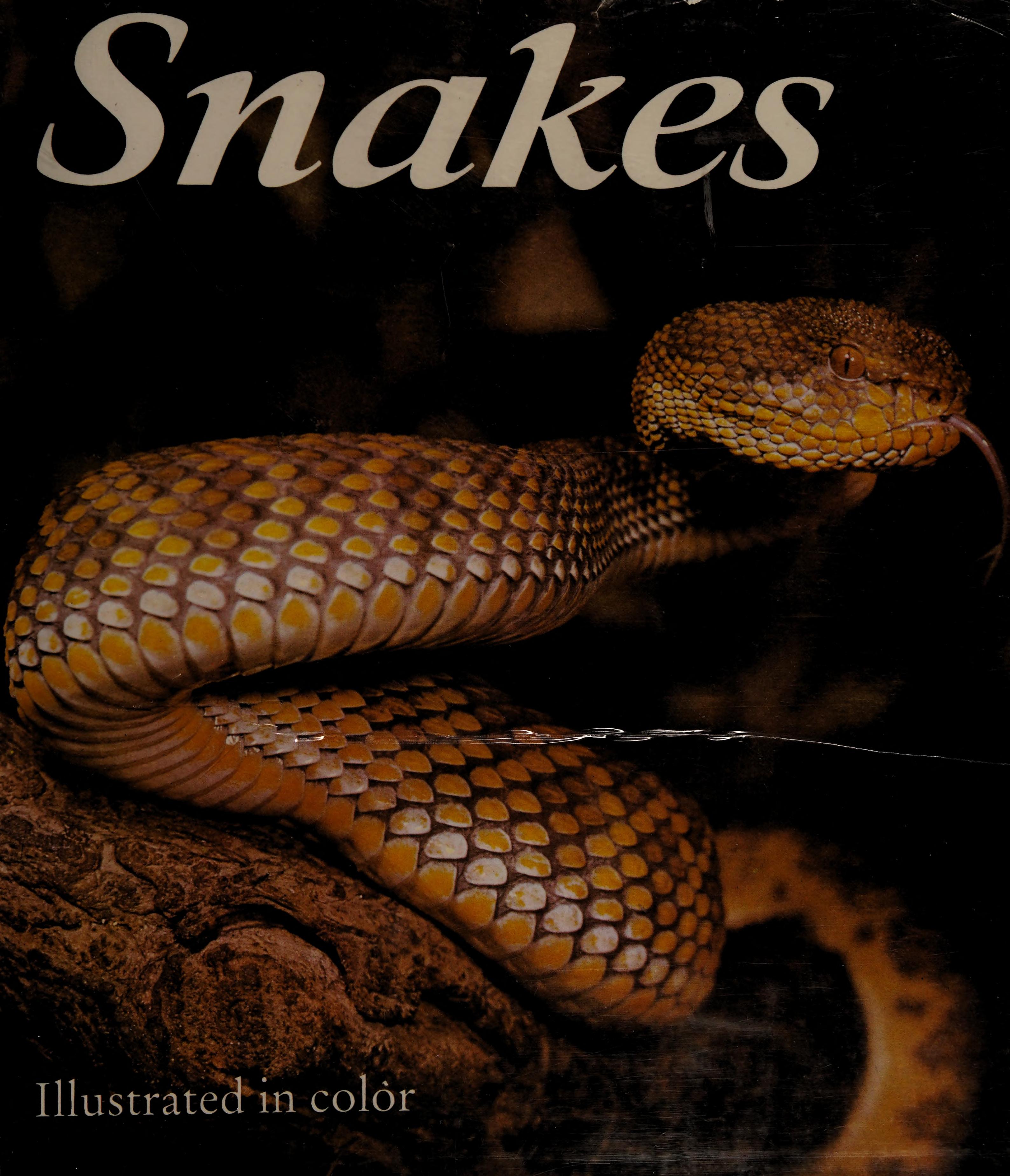 Snakes