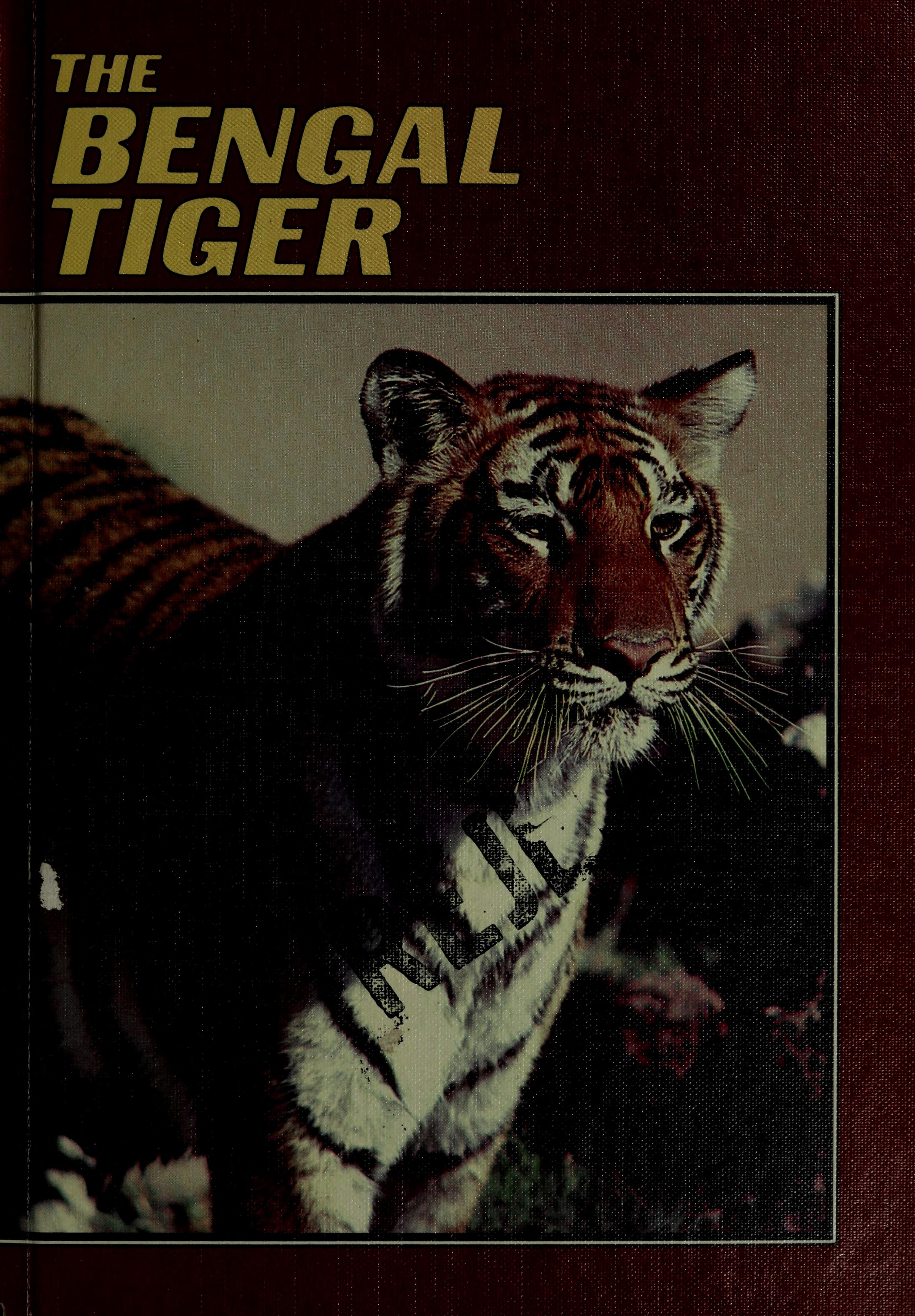 Bengal Tiger