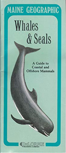 Whales & Seals