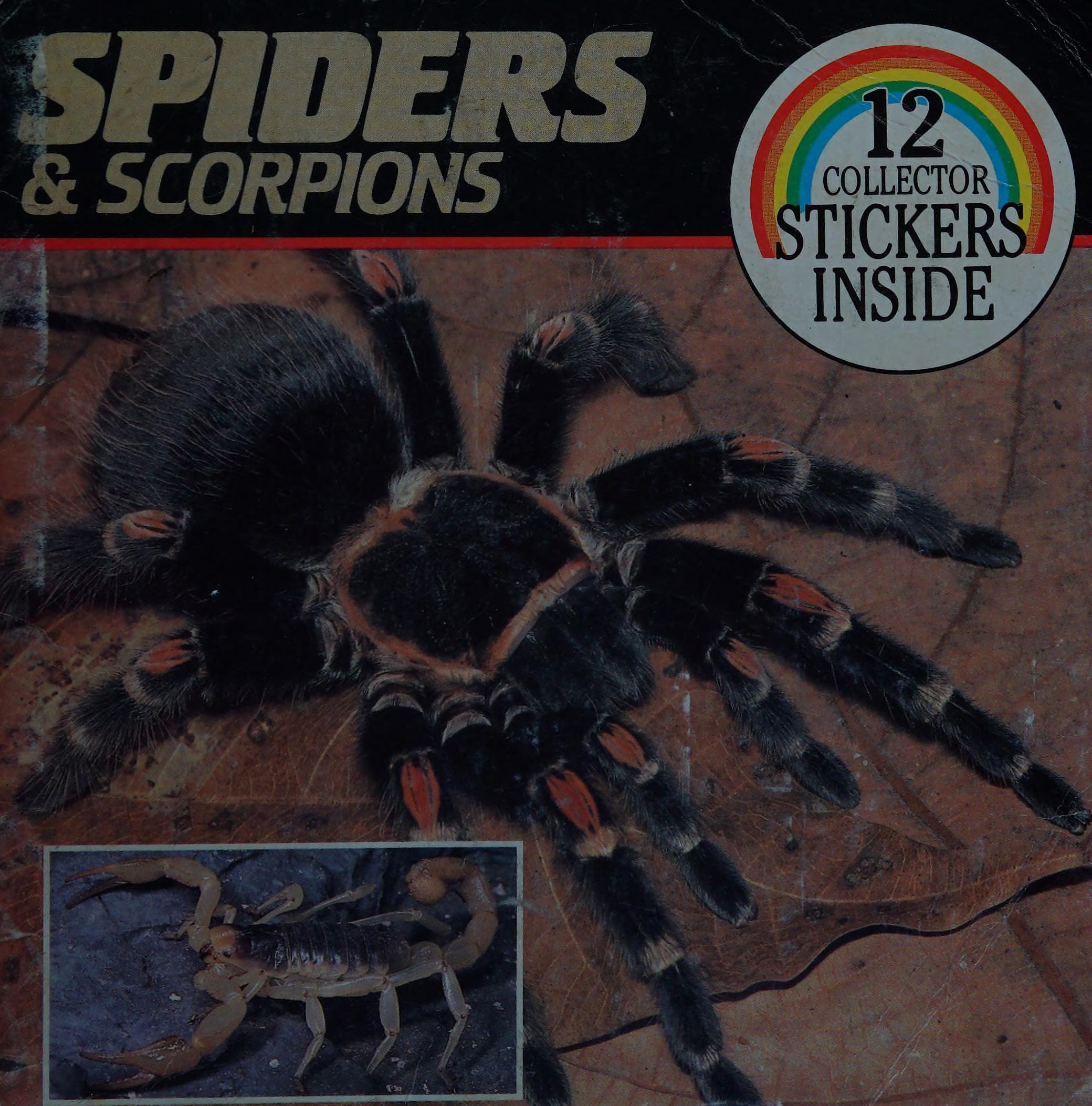 Spiders and Scorpions