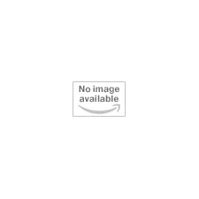 A Burmese-English Dictionary