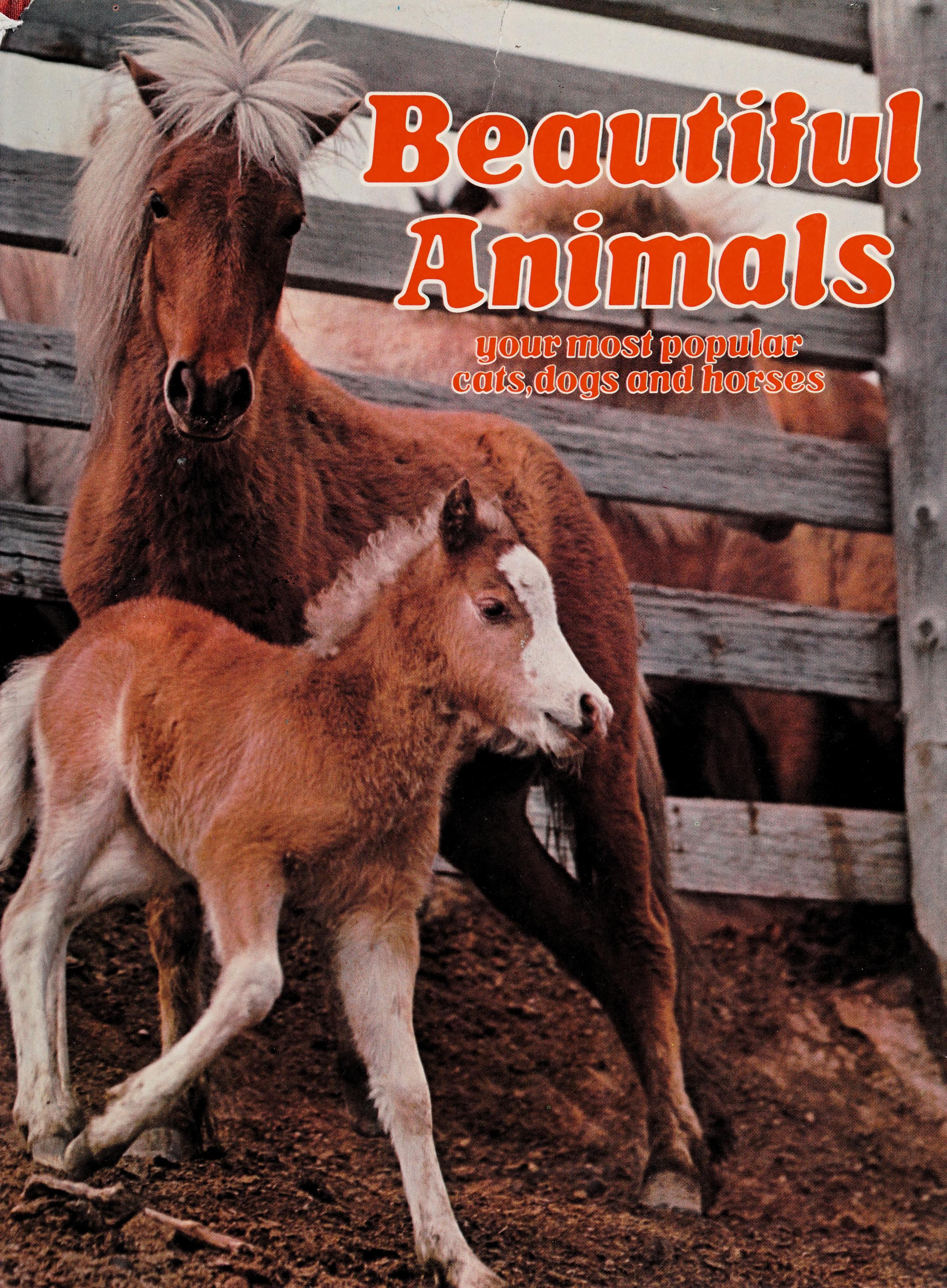Beautiful Animals