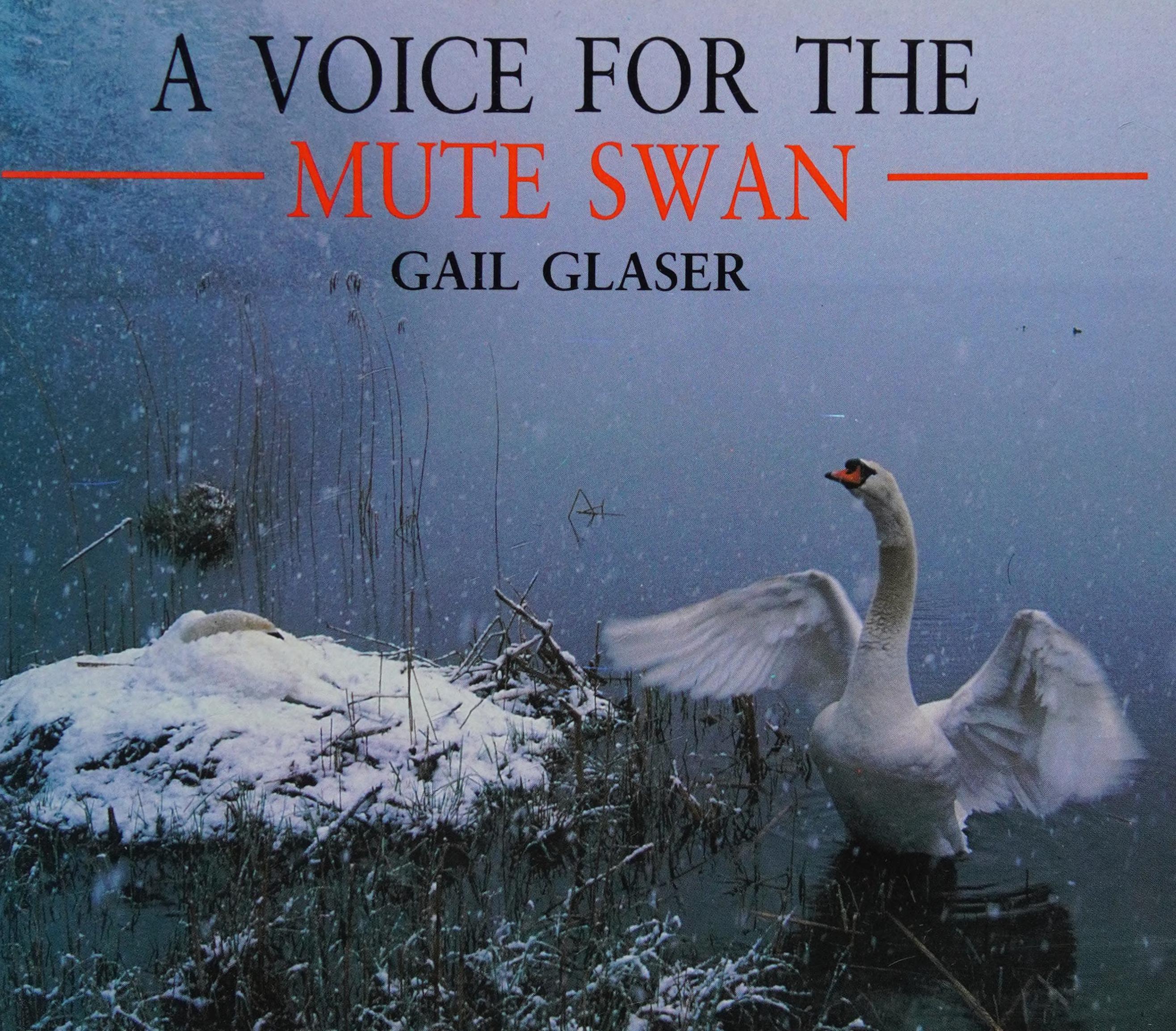 A Voice For The Mute Swan