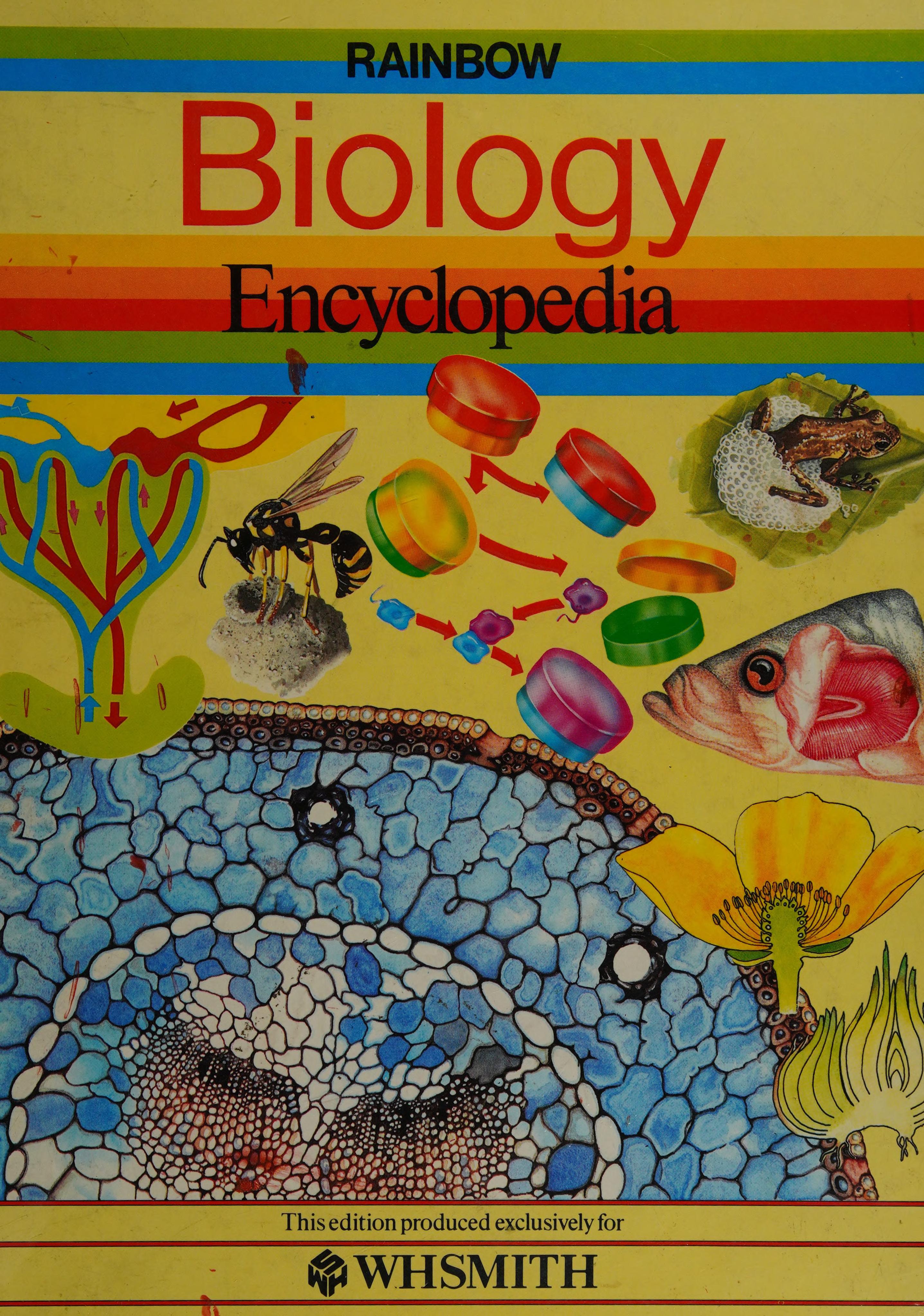 Rainbow Biology Encyclopedia