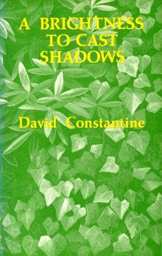 A Brightness to Cast Shadows.