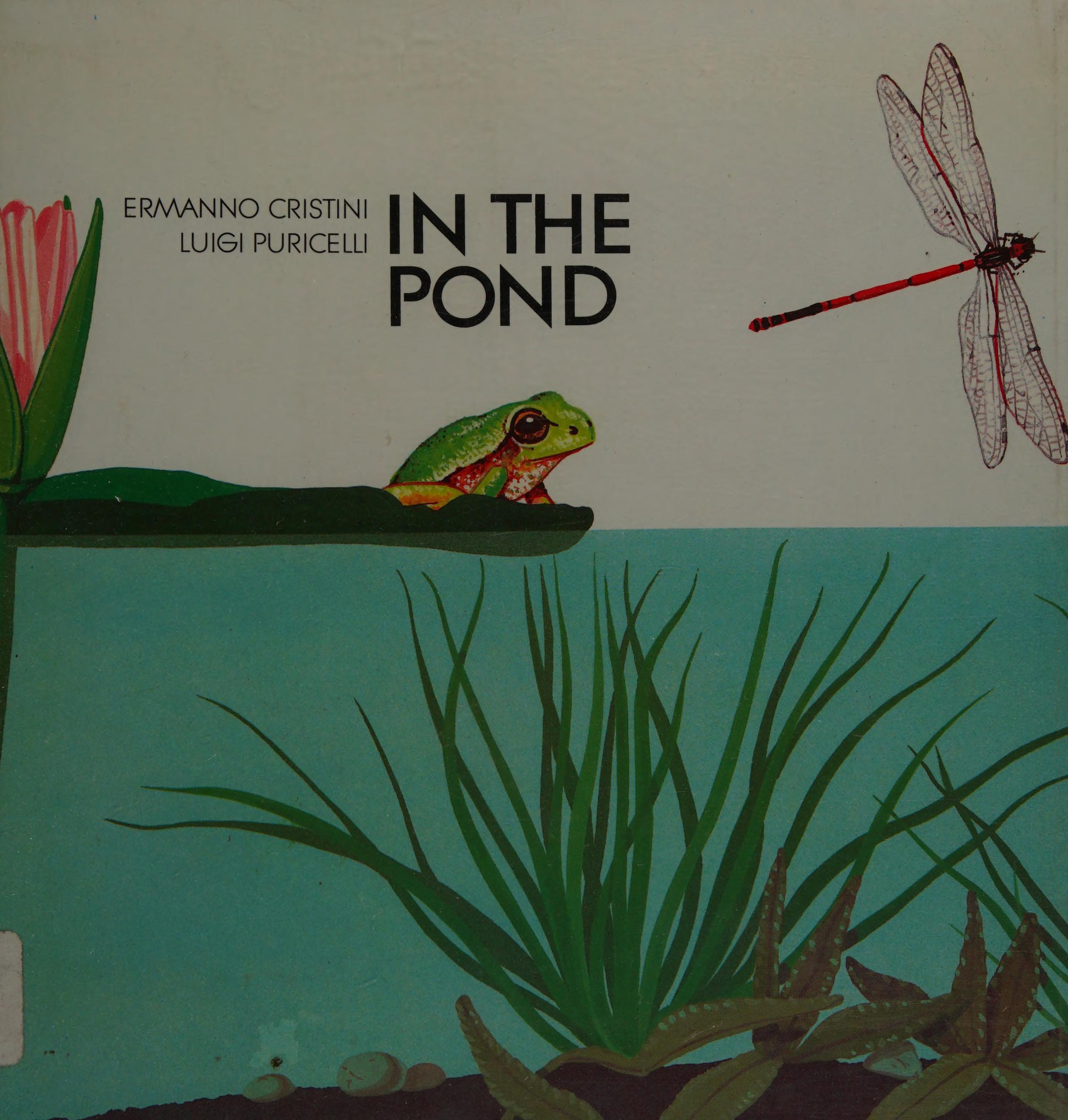 In the Pond