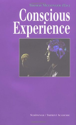 Conscious Experience