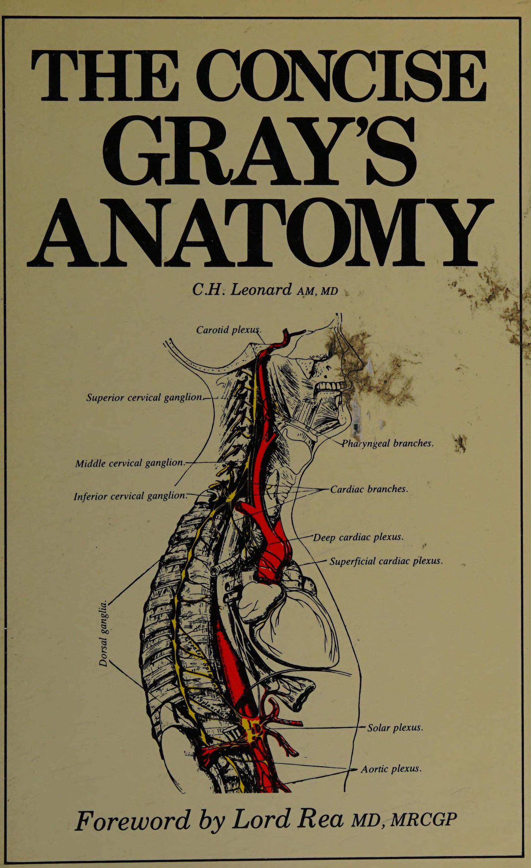 The Concise Gray's Anatomy
