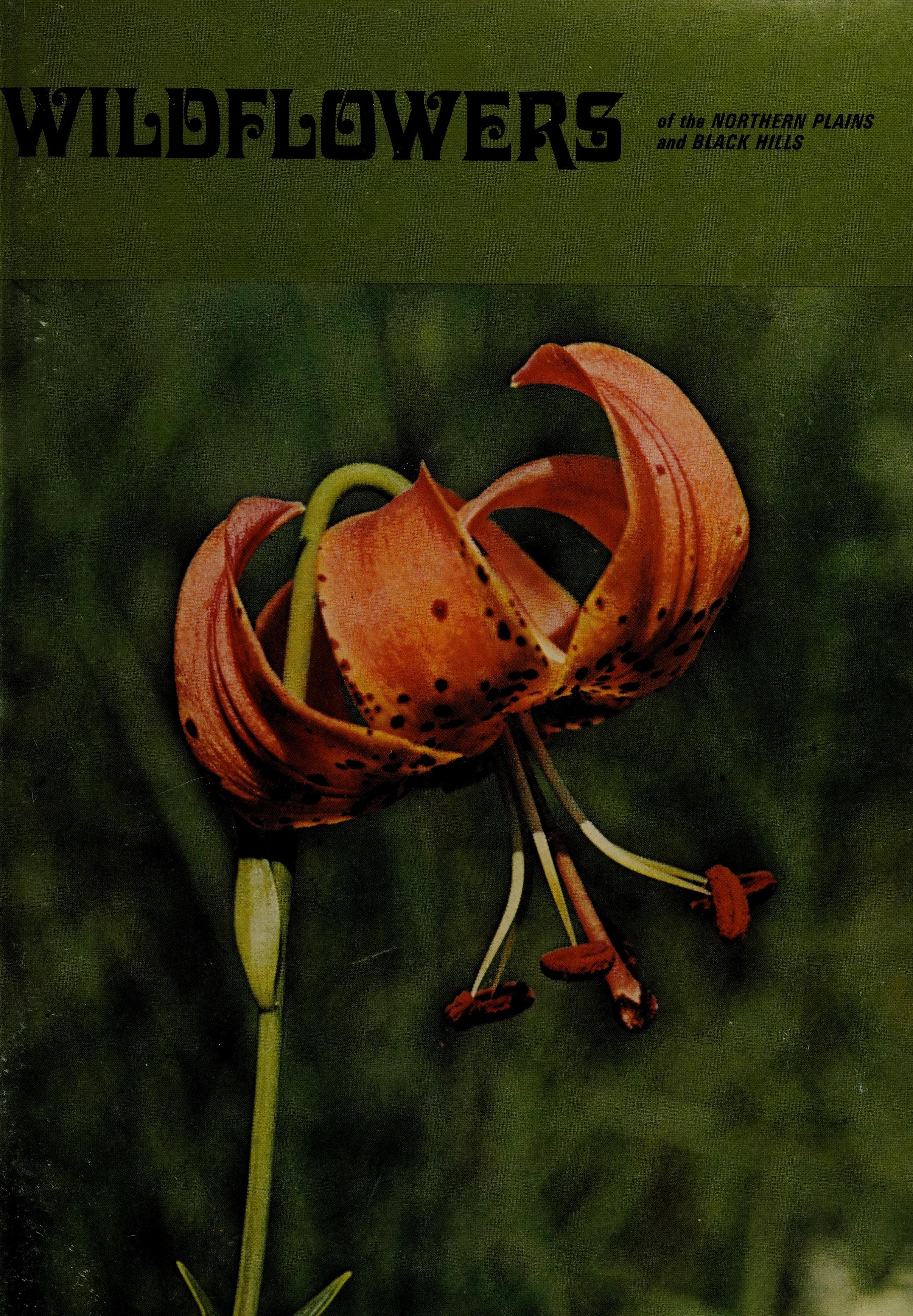 Wildflowers Of The Northern Plains And Black Hills.