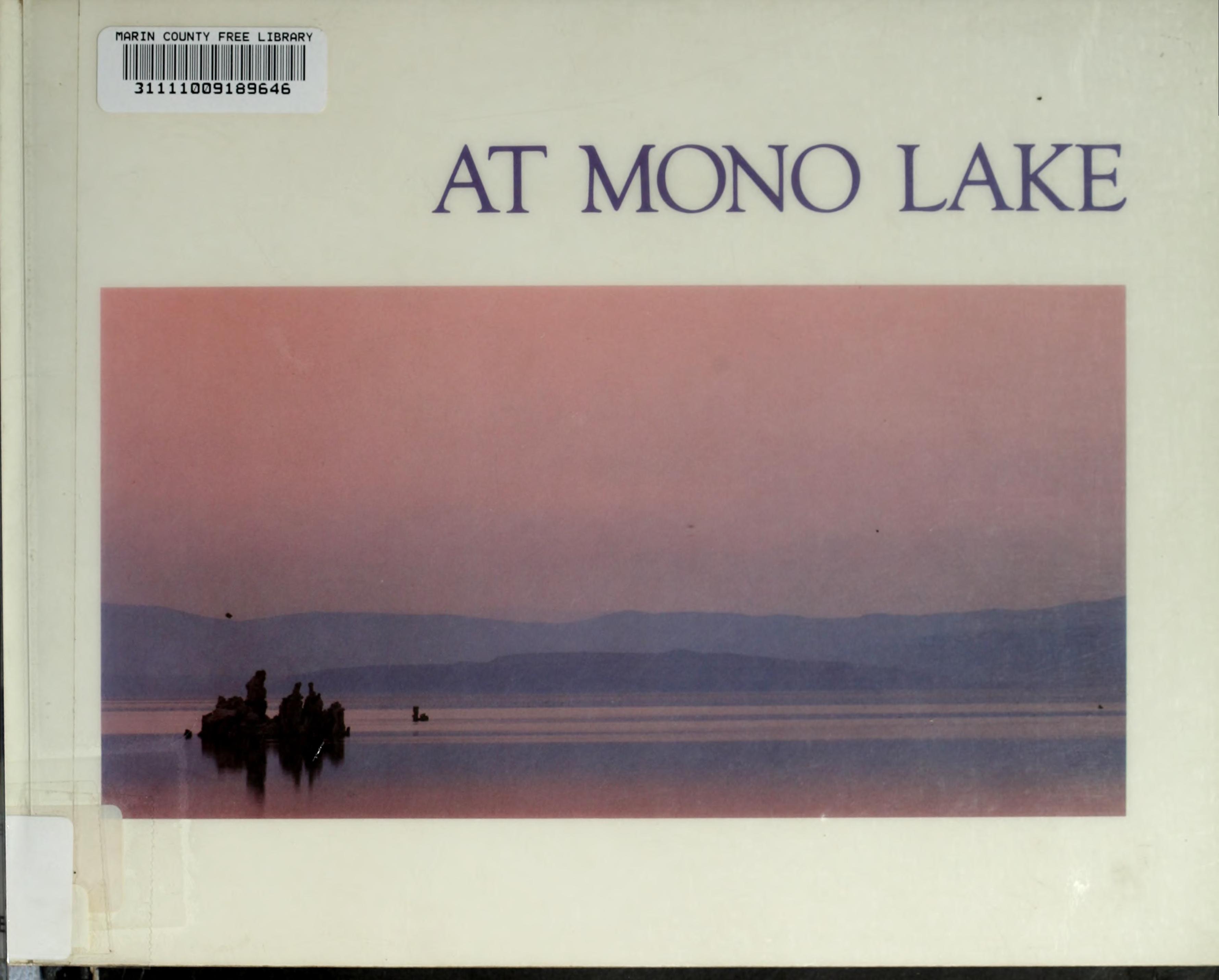 At Mono Lake