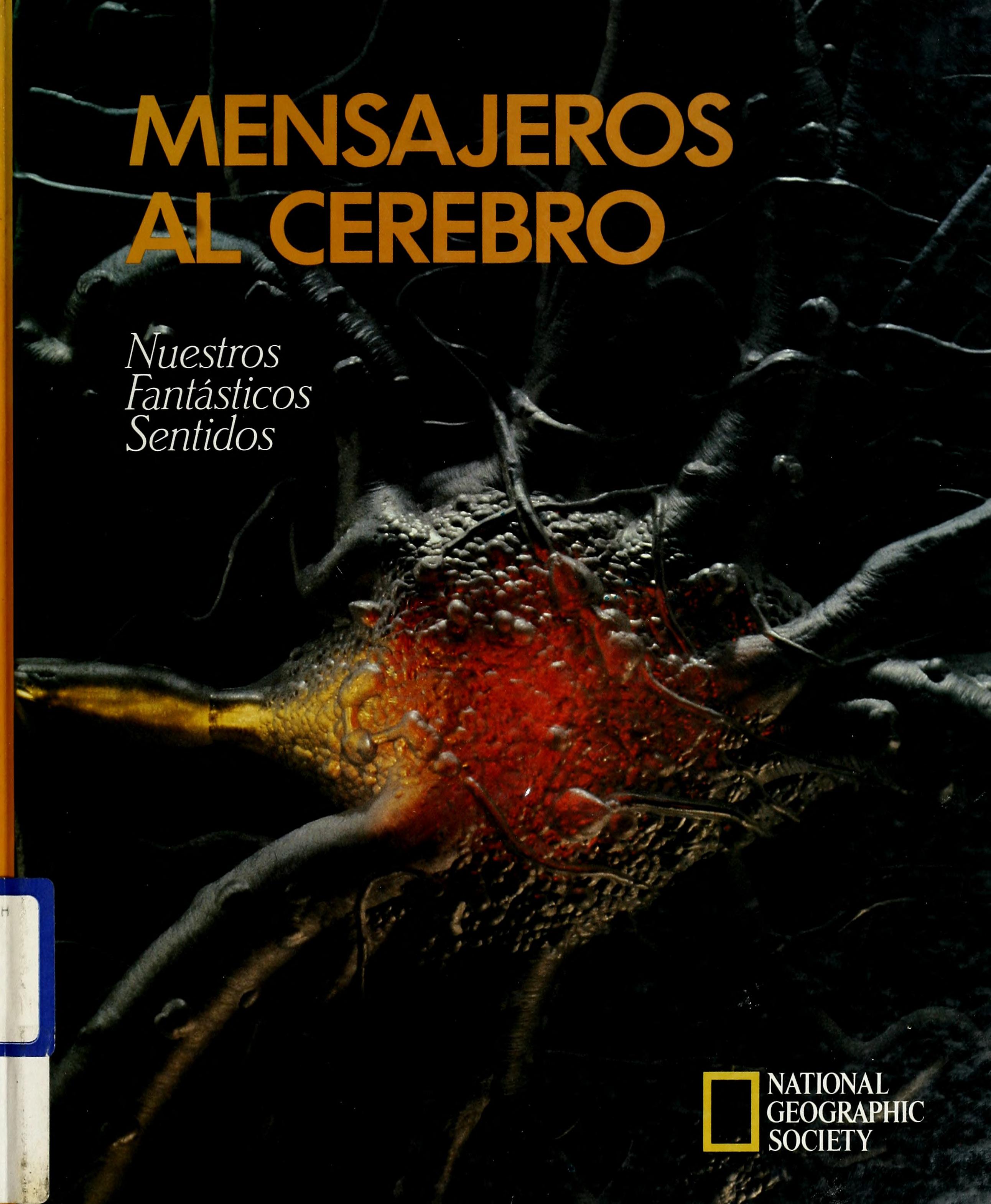 Mensajeros Al Cerebro Nuestros Fantasticos