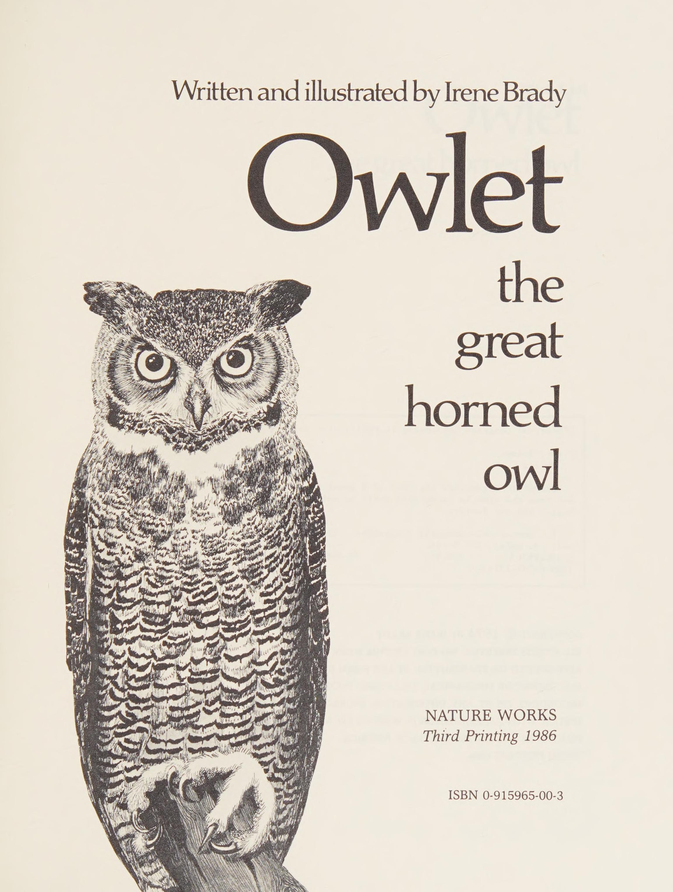Owlet the Great Horned Owl