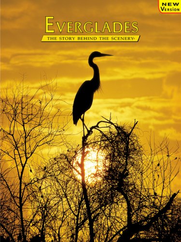 Everglades