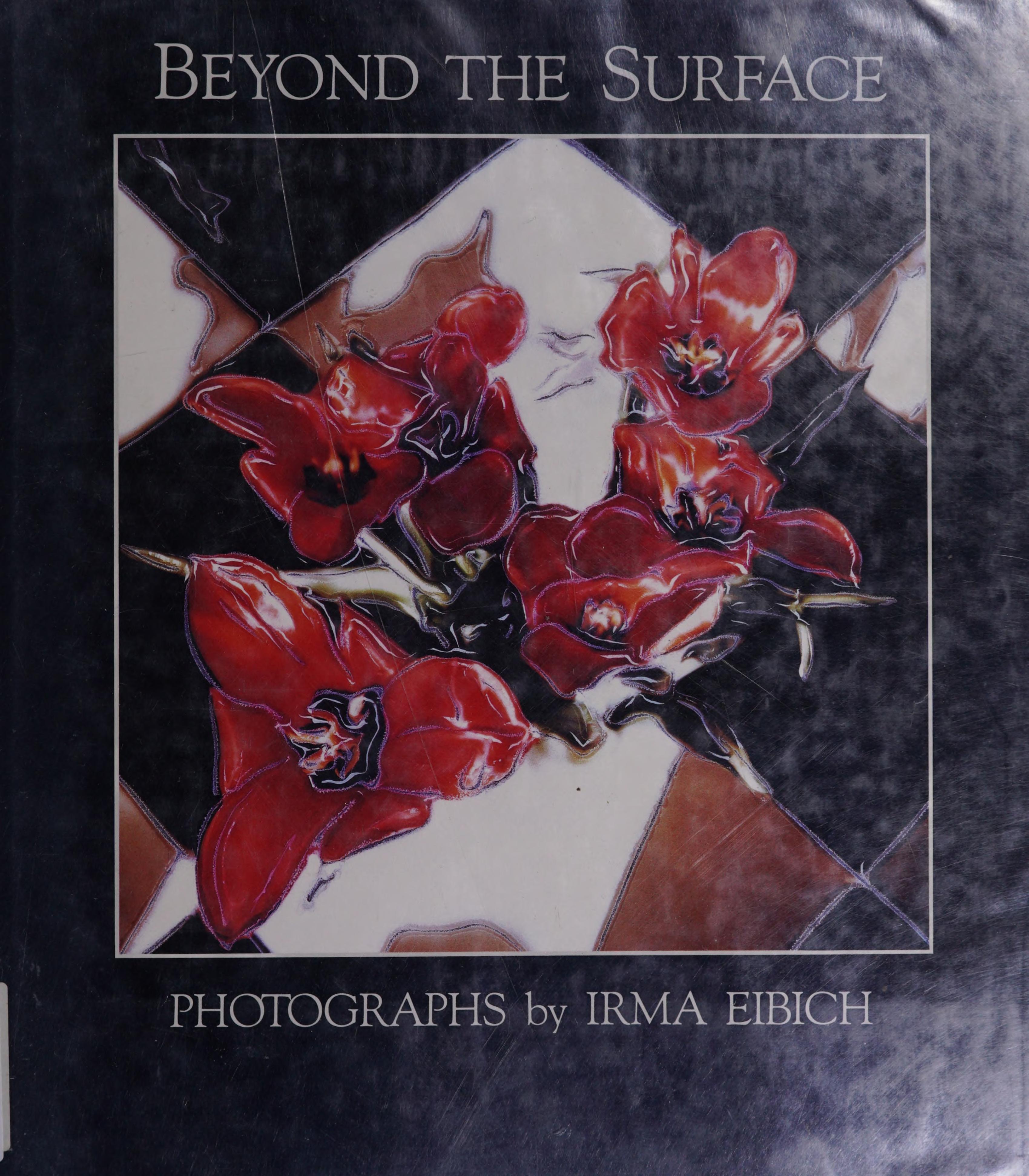 Beyond the Surface - Photographs by Irma Eibich