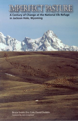 Imperfect Pasture