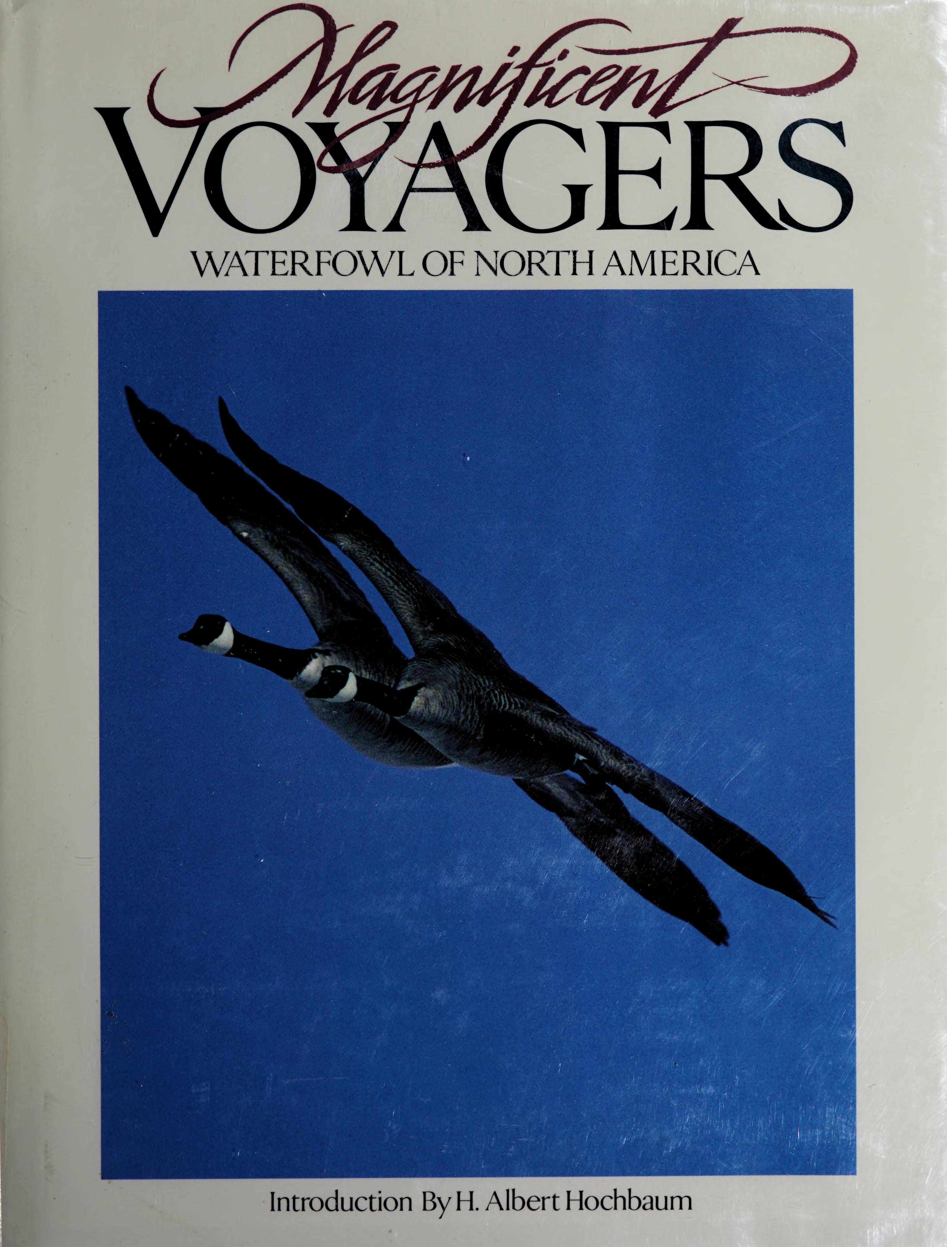 Magnificent Voyagers