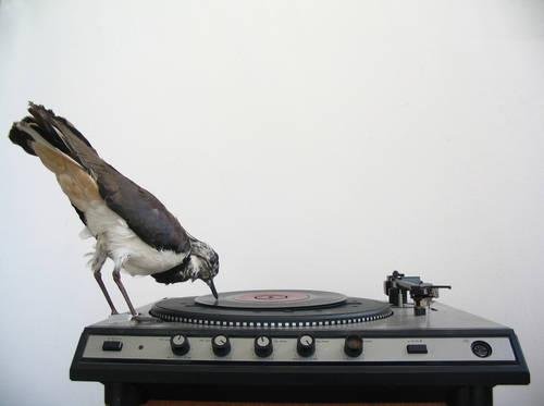 The Record