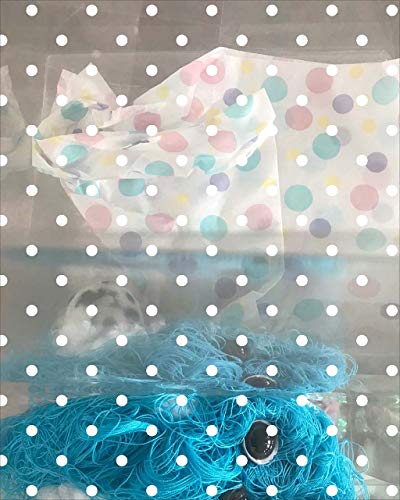 Liz Magor