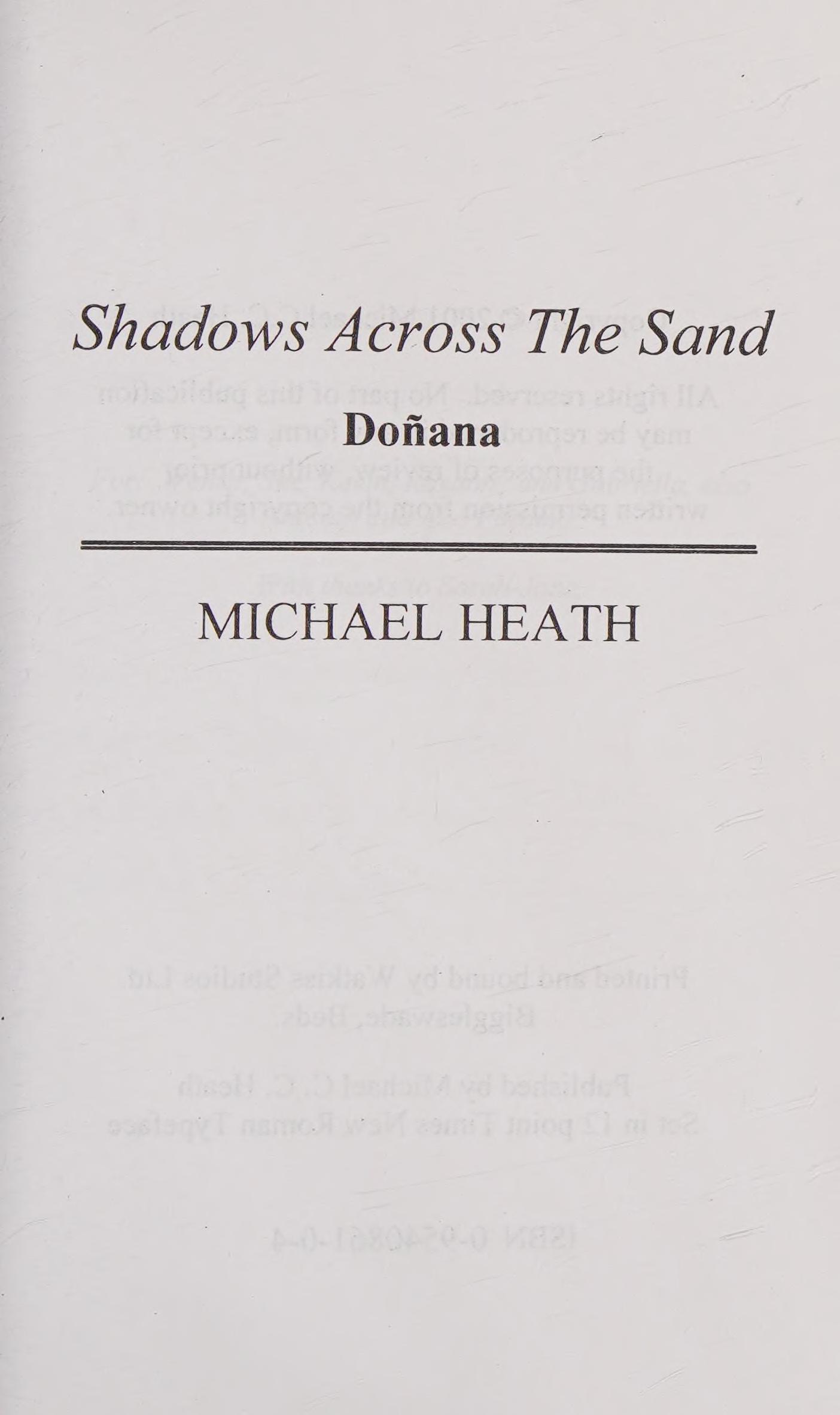 Shadows Across the Sand