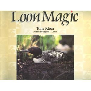 Loon Magic