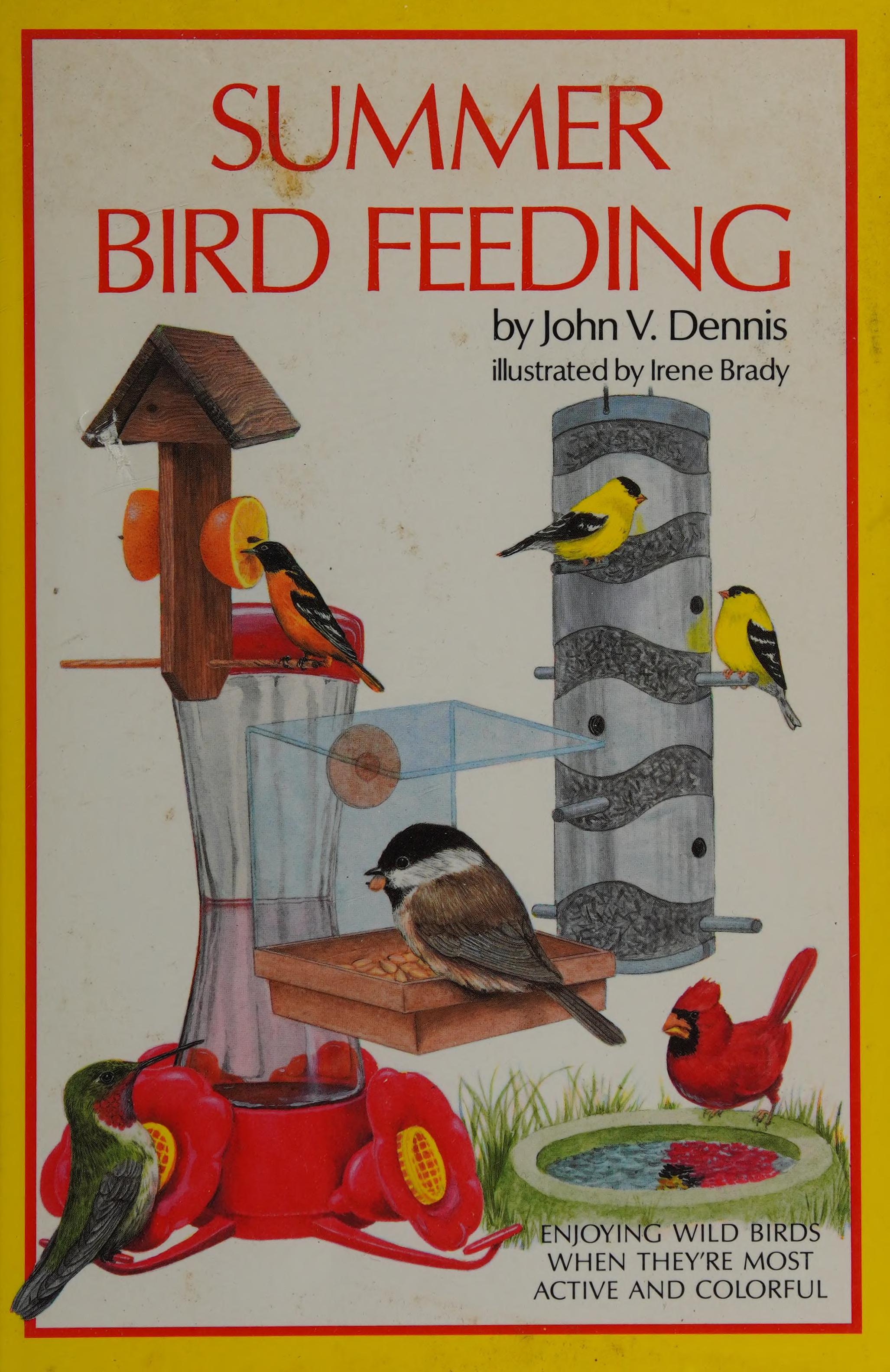 Summer Bird Feeding