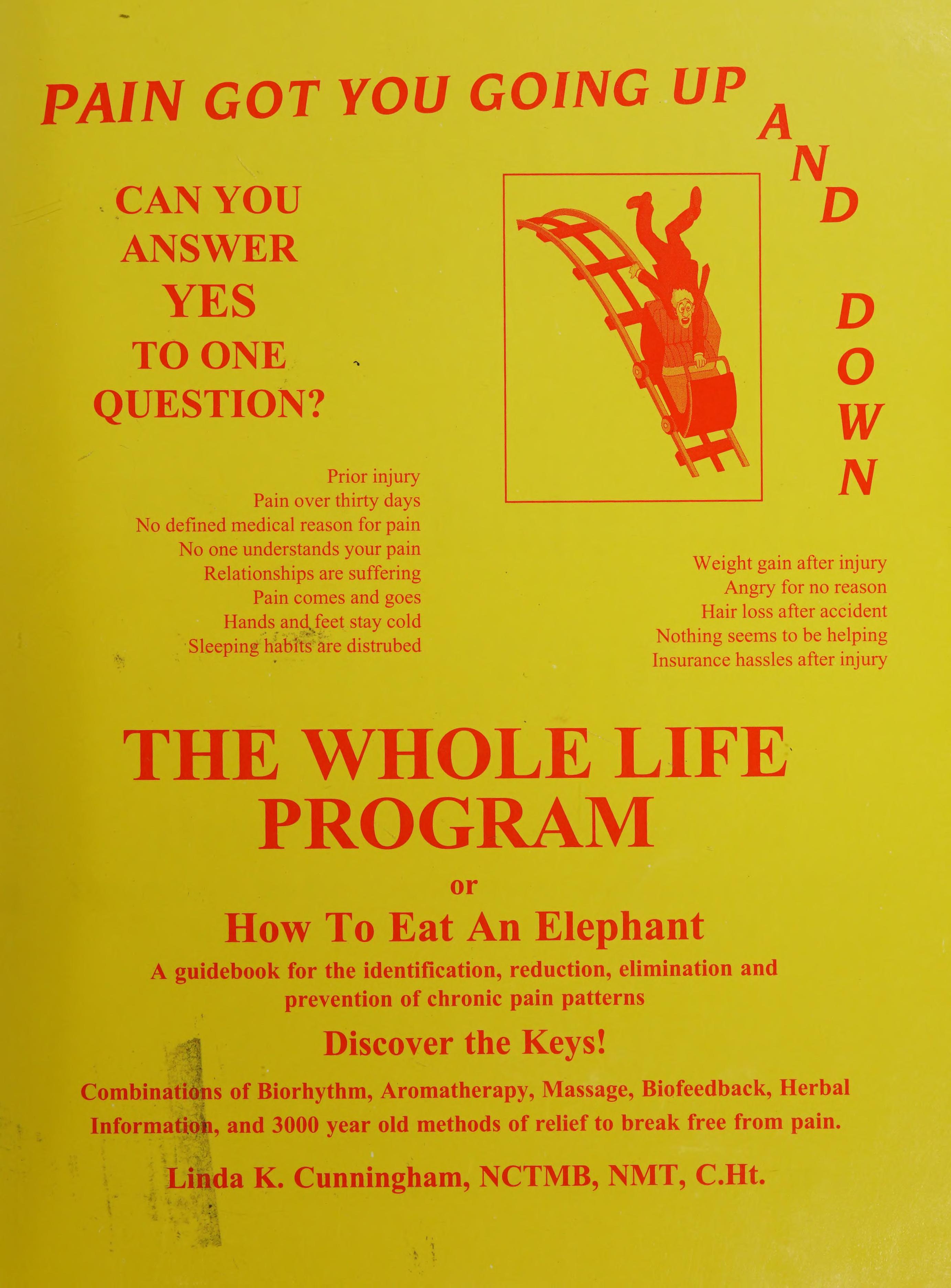 The Whole Life Program Or How To Eat An Elephant