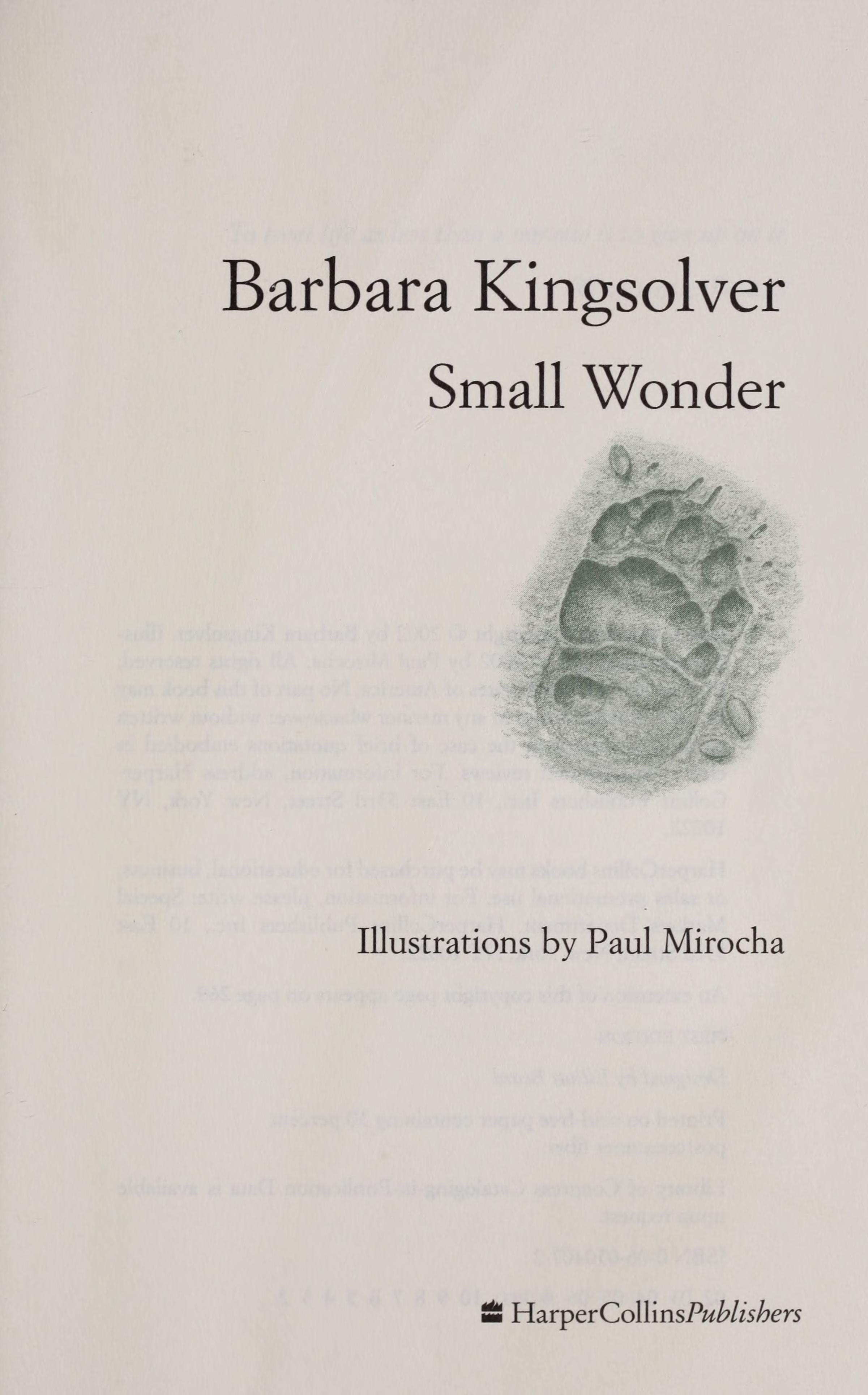 Small Wonder - Essays