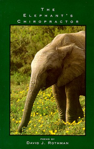 The elephant's chiropractor